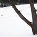 Sledders at Huron Hills Golf Course on Friday, Dec 28. Daniel Brenner I AnnArbor.com